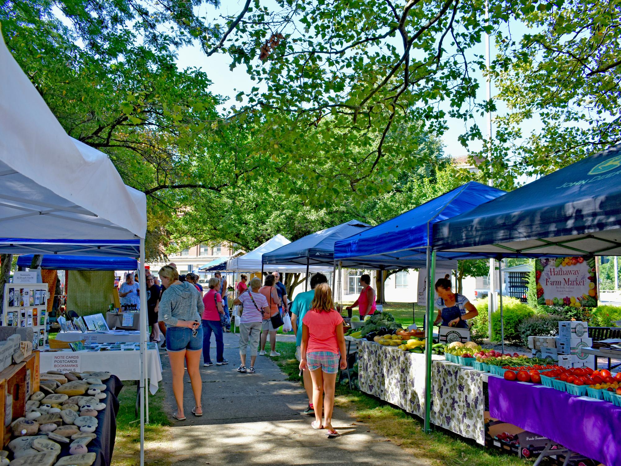 Sunny Day at the Westfield NY Farmers Market