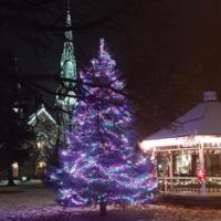 Christmas in the Village